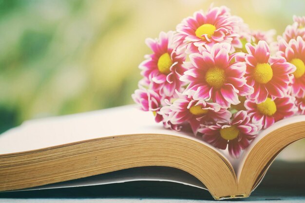 Foto close-up di un fiore rosa su un libro