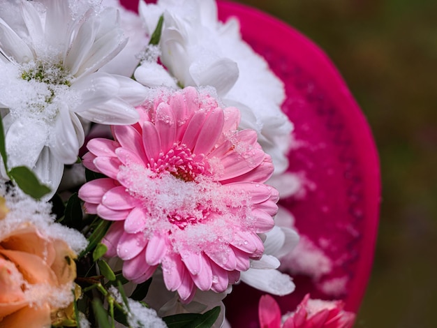 Close-up of pink flower bouquet