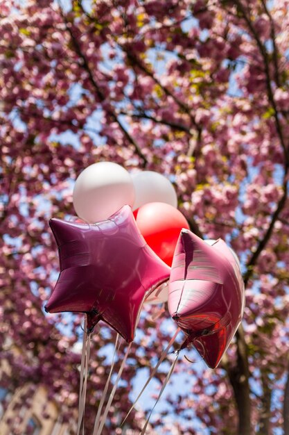 Photo close-up of pink flower tree