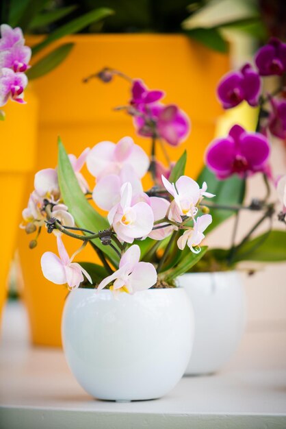 Close-up of pink flower vase on table