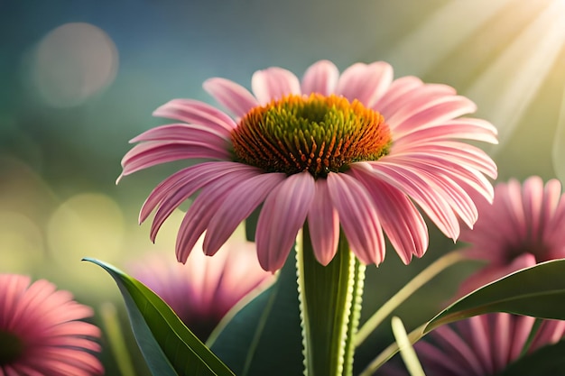 A close up of a pink flower with the sun shining on it