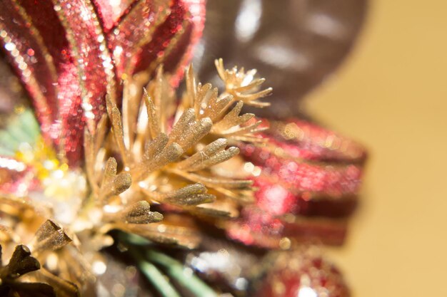 Foto close-up di un fiore rosa