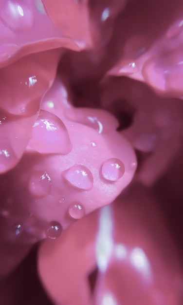 Close-up of pink flower