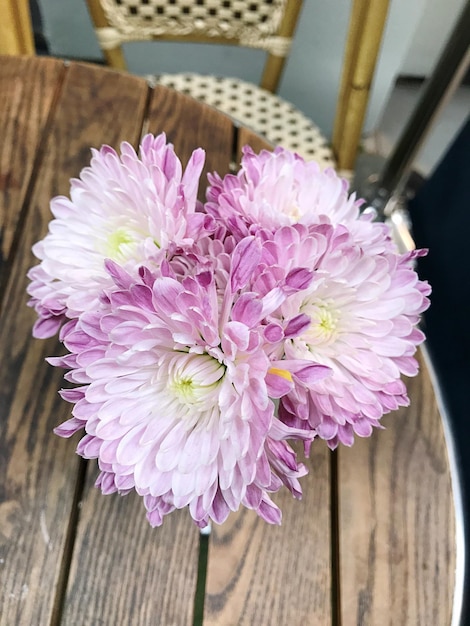 Photo close-up of pink flower