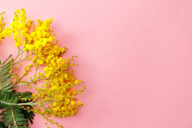 Close-up of pink flowering plant against sky