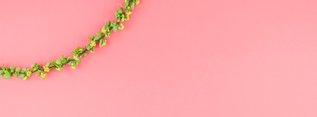 Photo close-up of pink flowering plant against wall