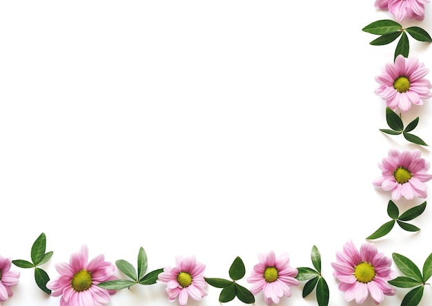 Photo close-up of pink flowering plant against white background