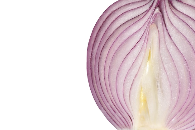 Foto close-up di una pianta a fiori rosa su uno sfondo bianco