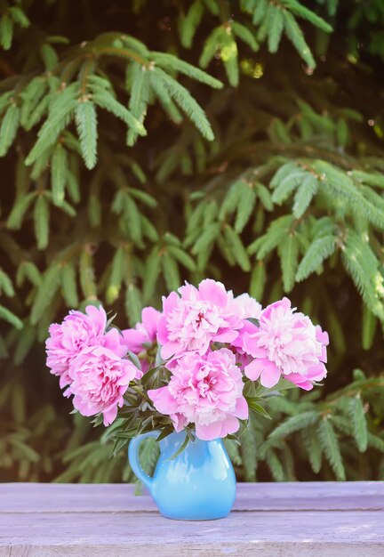 Photo close-up of pink flowering plant in vase