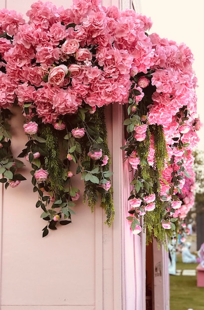 Photo close-up of pink flowering plant