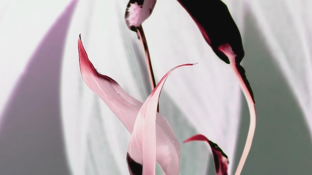 Photo close-up of pink flowering plant