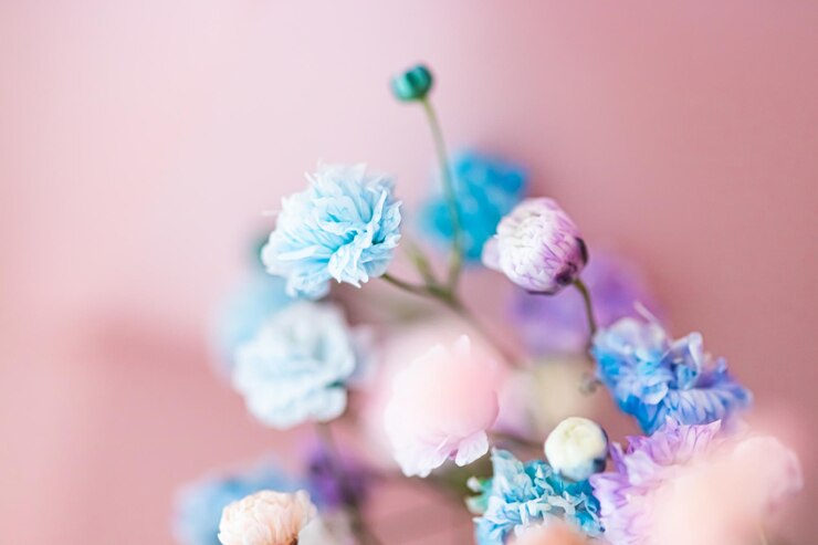 Photo 青い背景のピンクの花のクローズアップ