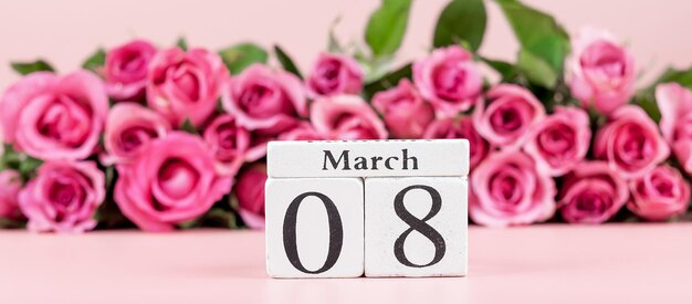 Close-up of pink flowers against white background