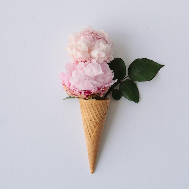 白い背景のピンクの花のクローズアップ