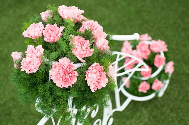 Close-up of pink flowers blooming outdoors