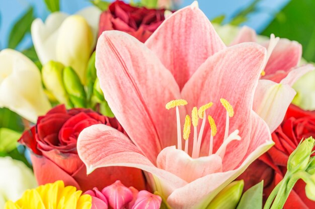 Close-up of pink flowers blooming outdoors