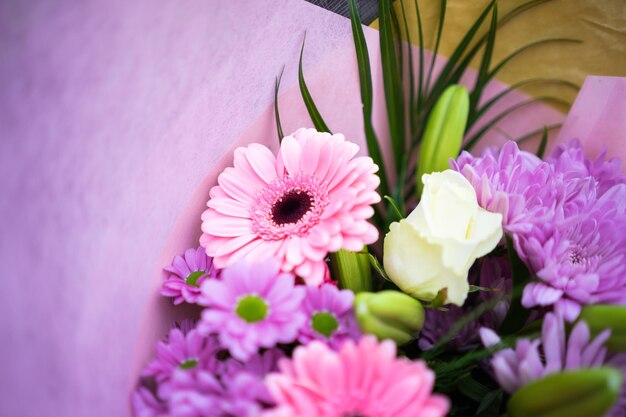 Close-up of pink flowers blooming outdoors