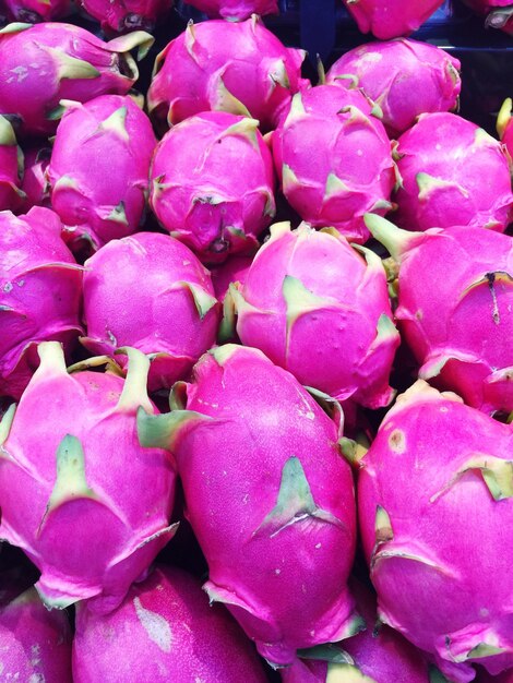 Close-up of pink flowers in market