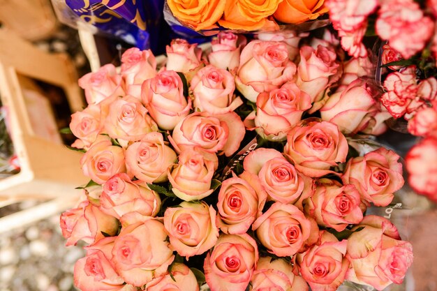 Photo close-up of pink flowers