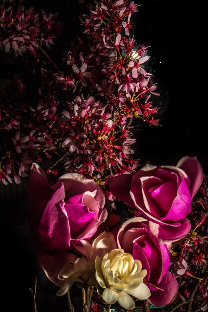 Photo close-up of pink flowers