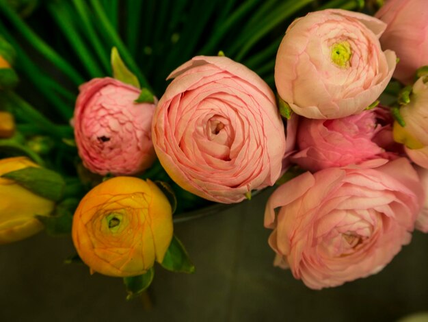 Photo close-up of pink flowers