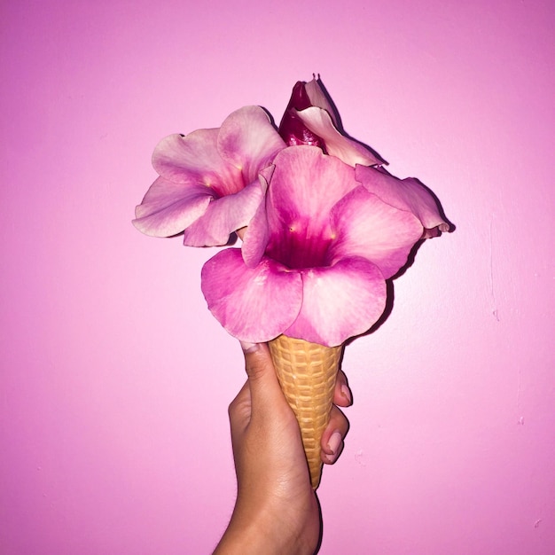 ピンクの花のクローズアップ
