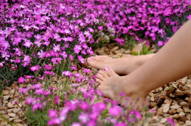 Foto close-up di fiori rosa