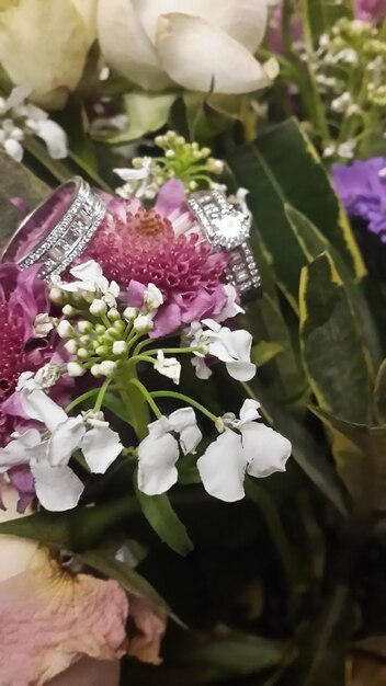 Close-up of pink flowers