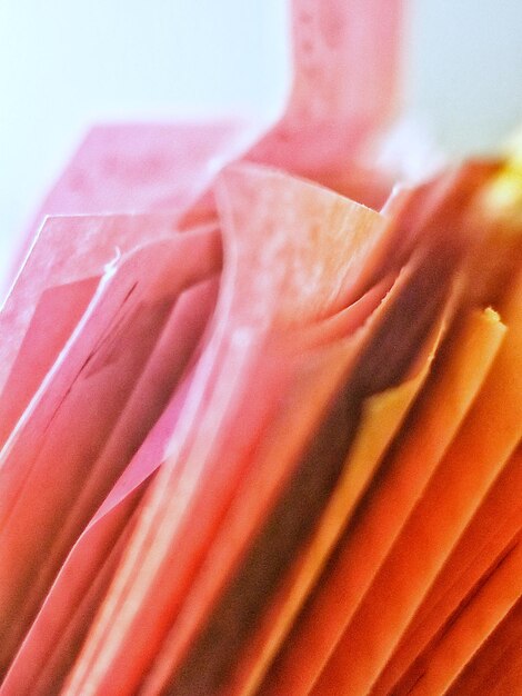 Close-up of pink papers