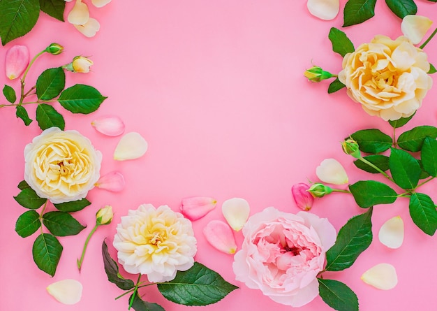 Close up of pink peony on pink background. Floral frame with empty place for text.