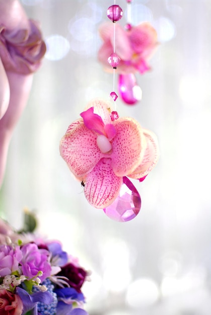 Photo close-up of pink and purple flowers