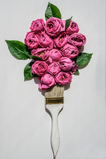 Foto close-up di una rosa rosa su uno sfondo bianco