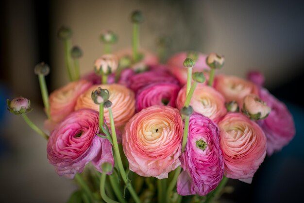 Foto close-up di un bouquet di rose rosa