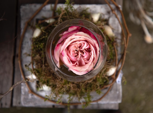 Foto close-up di una rosa rosa in barattolo