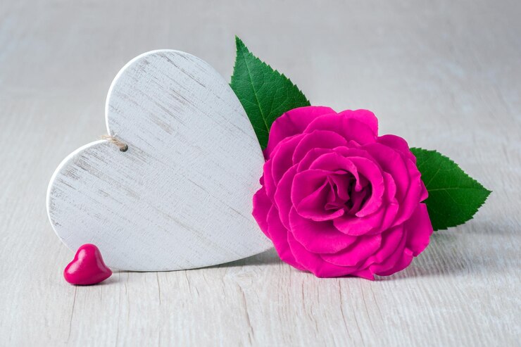 Photo close-up of pink rose on table