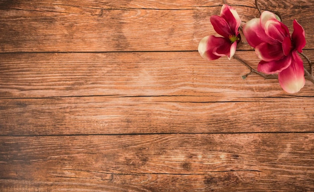 Photo close-up of pink rose on wooden table