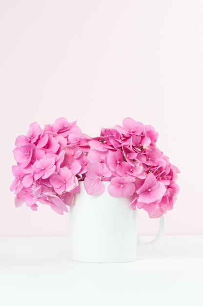 Photo close-up of pink roses against white background