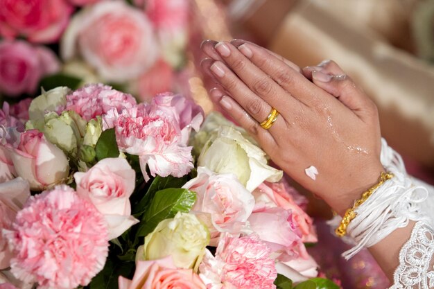 Close-up of pink roses