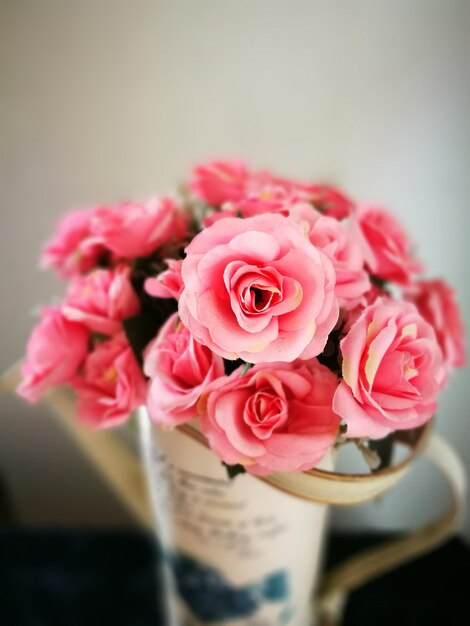 Photo close-up of pink roses