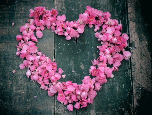 Photo close-up of pink roses