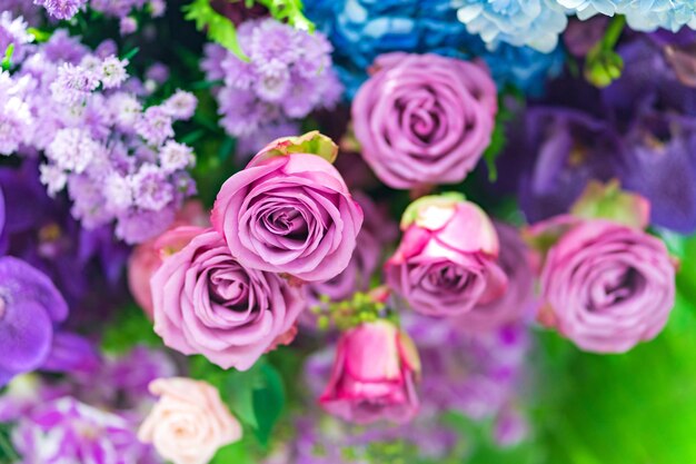 Close-up of pink roses