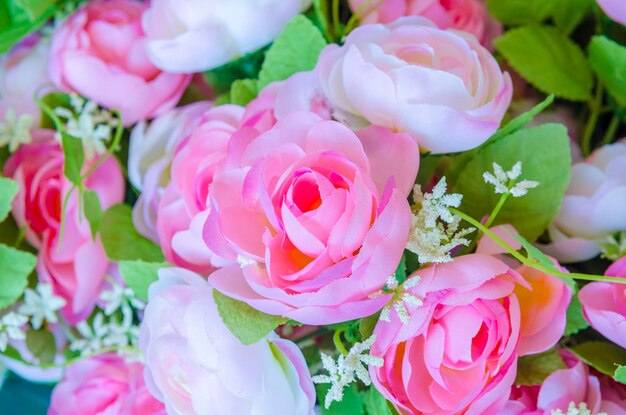 Close-up of pink roses