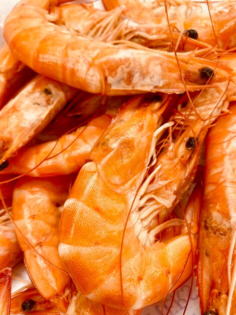 Close-up of pink shrimps