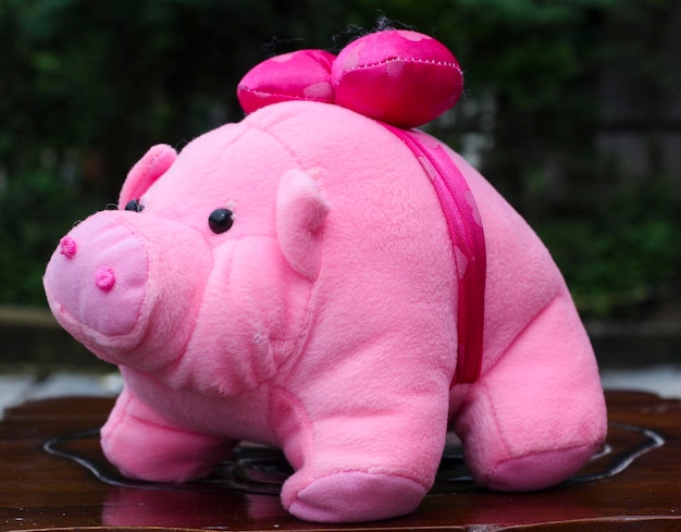 Close-up of pink stuffed toy