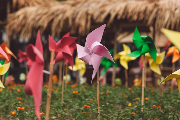 close-up of pinwheel toys on field
