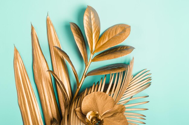 Photo close-up of plant against blue background