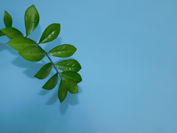 Photo 青い空を背景にした植物のクローズアップ