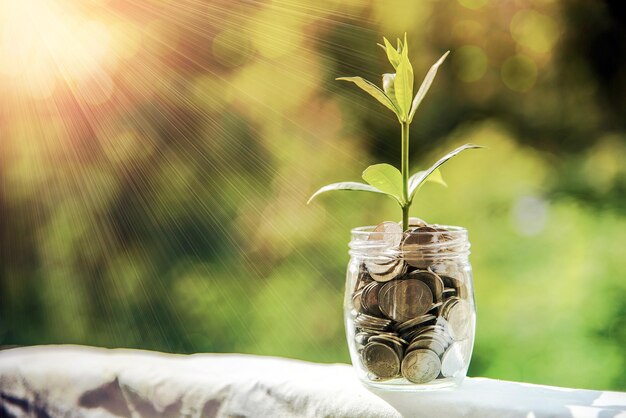 Photo close-up of plant against glass window