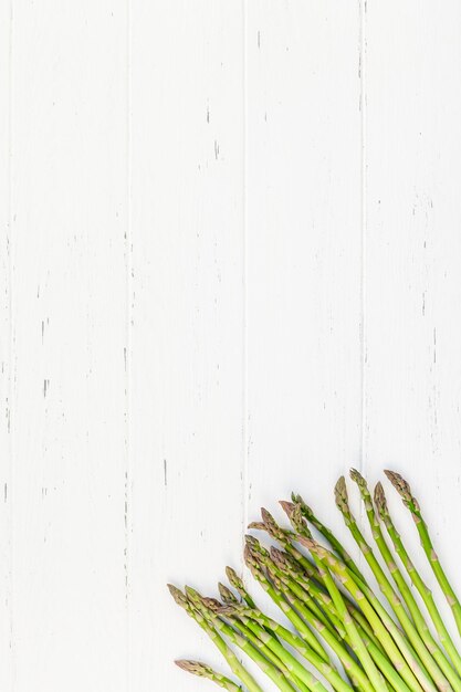 Photo close-up of plant against white background