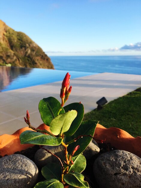 Foto prossimo piano dell'impianto sulla spiaggia